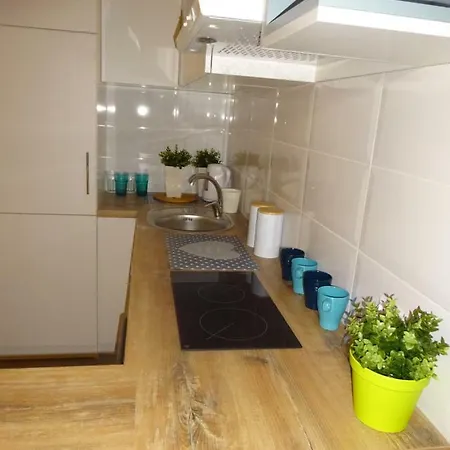 Διαμέρισμα Nikola *